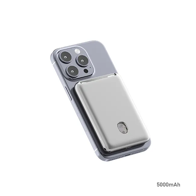 P195-05 P195-05